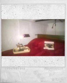 polaroid-9